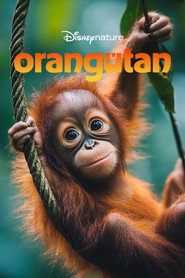 Orangutan (2026)